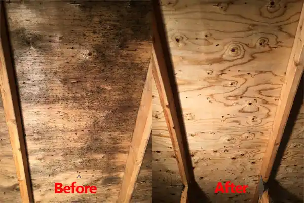 water damage restoration service O'Neill